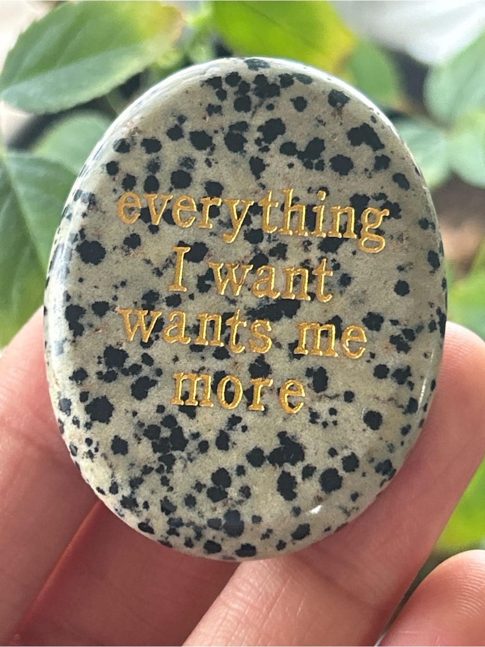 Inspirational Dalmatian Jasper Pocket Stone - Black & Cream
